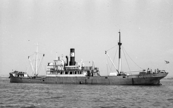 Aline by T. Diedrich Aline byT. Diedrich